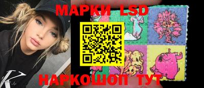 крисы Пенза