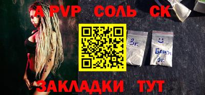 крисы Пенза