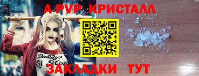 крисы Пенза