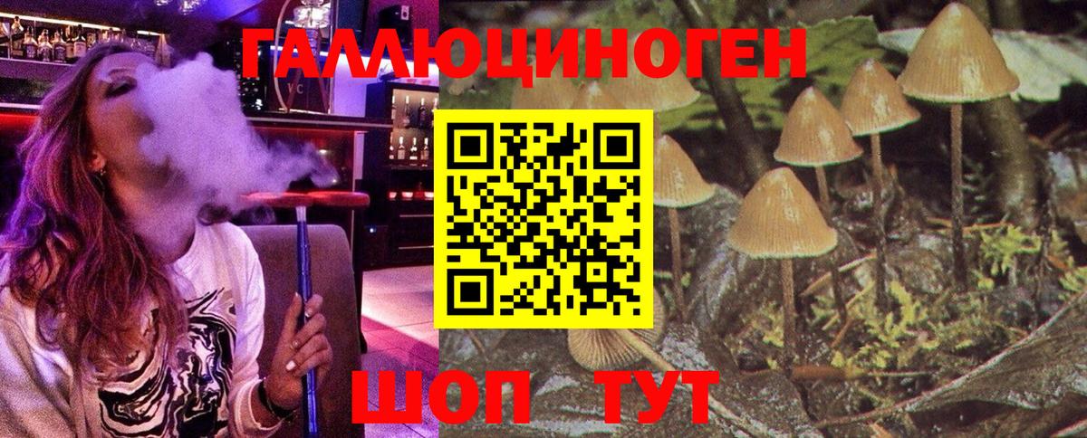 Галлюциногенные грибы Psilocybe  Вход с VPN  Галлюциногенные грибы GOLDEN TEACHER  Аша 