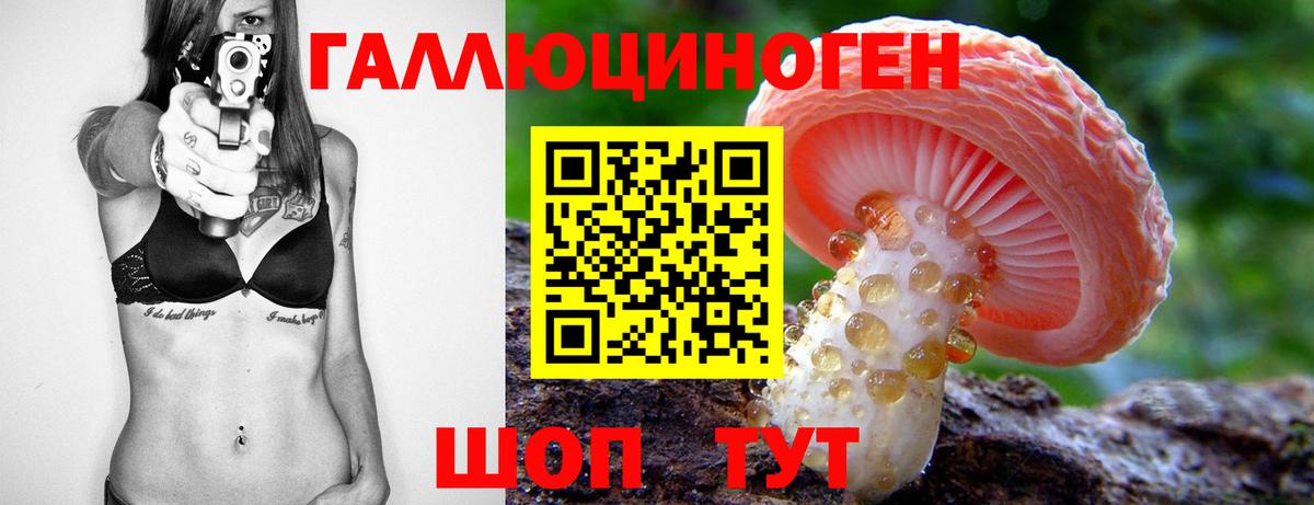 Галлюциногенные грибы мухоморы Аша